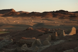 Steppe Landscape